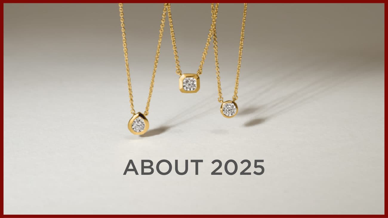 2024 Review & 2025 Plan — p.26