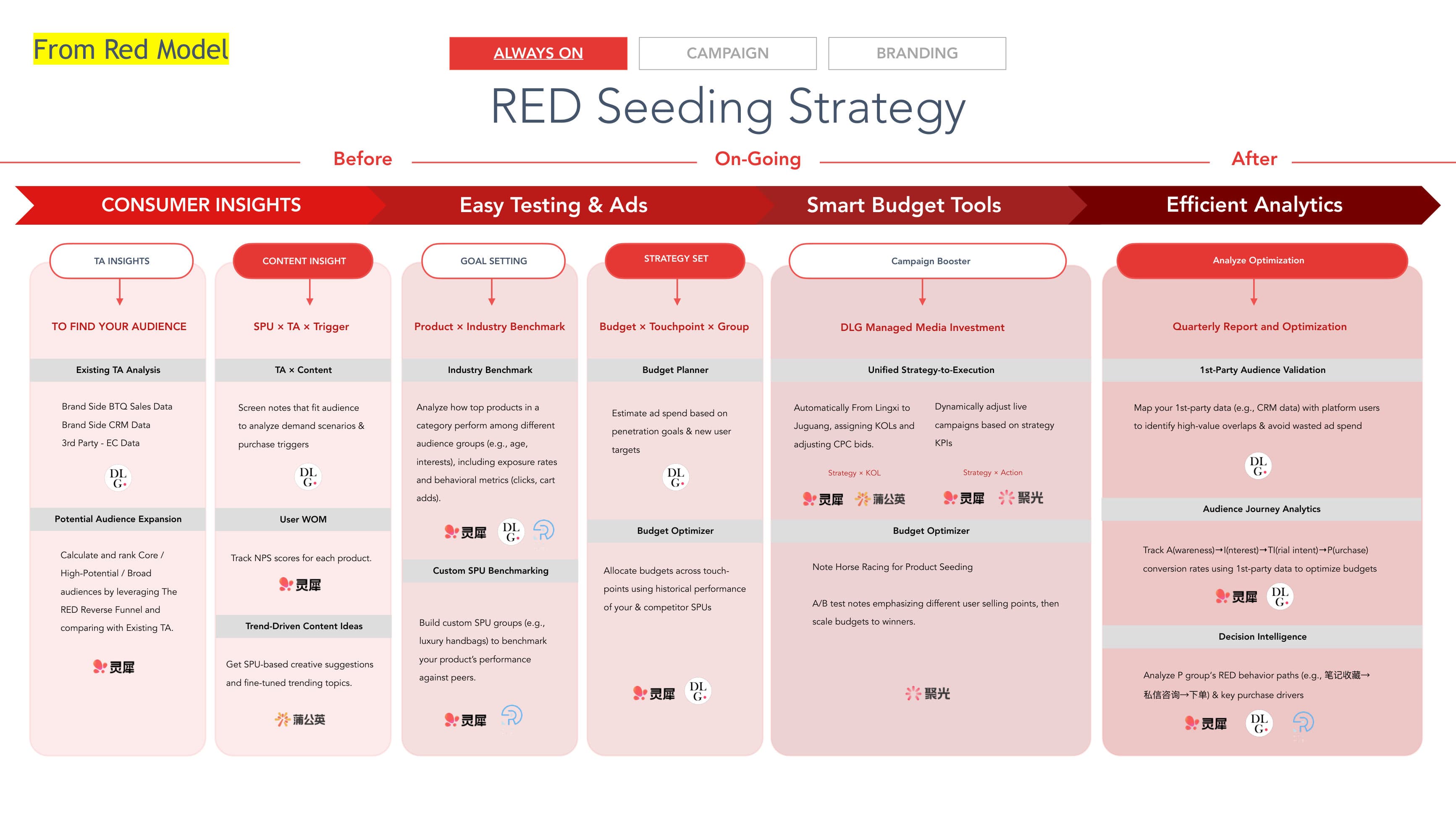 DLG Red Strategy — p.31