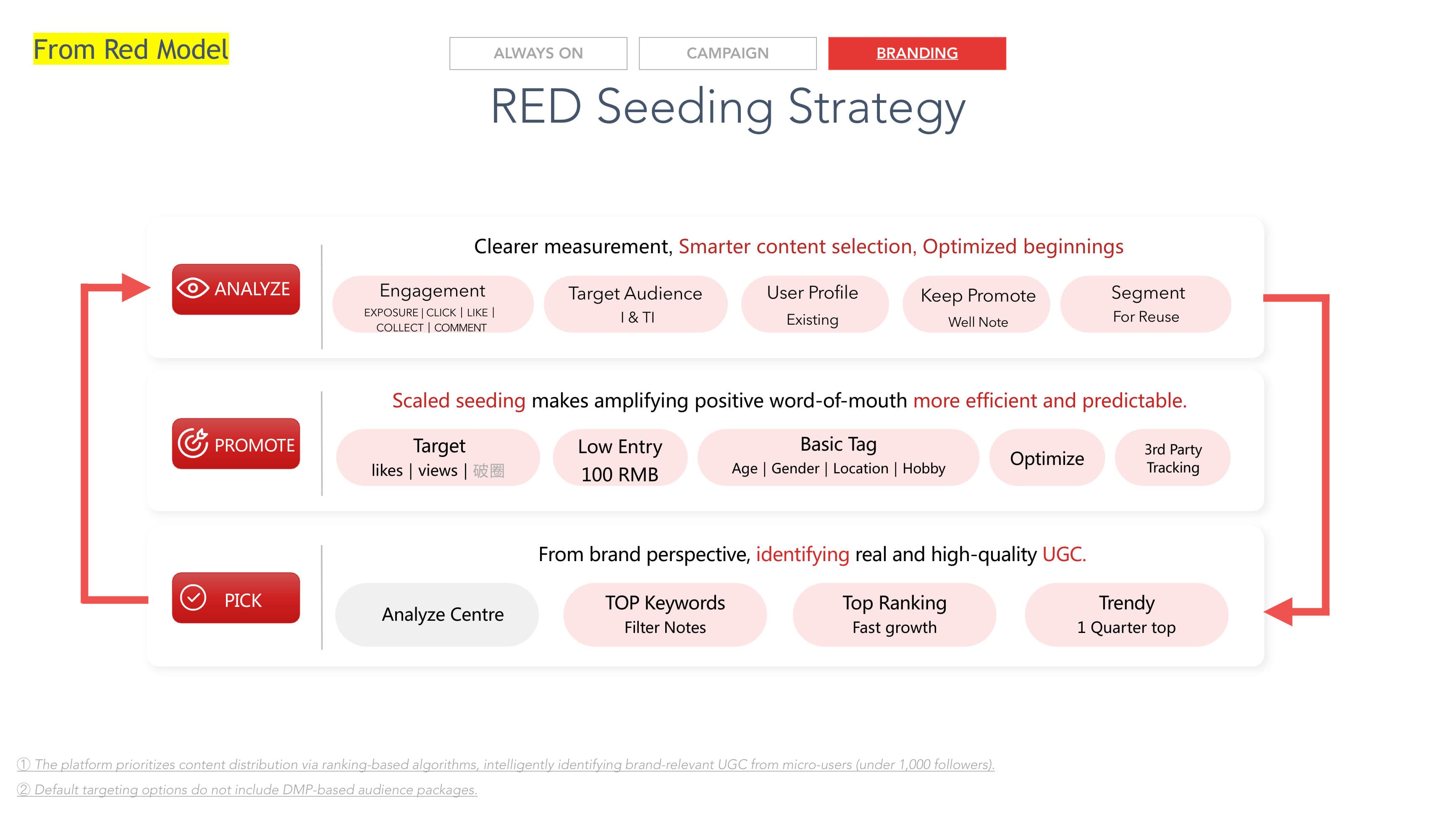 DLG Red Strategy — p.33